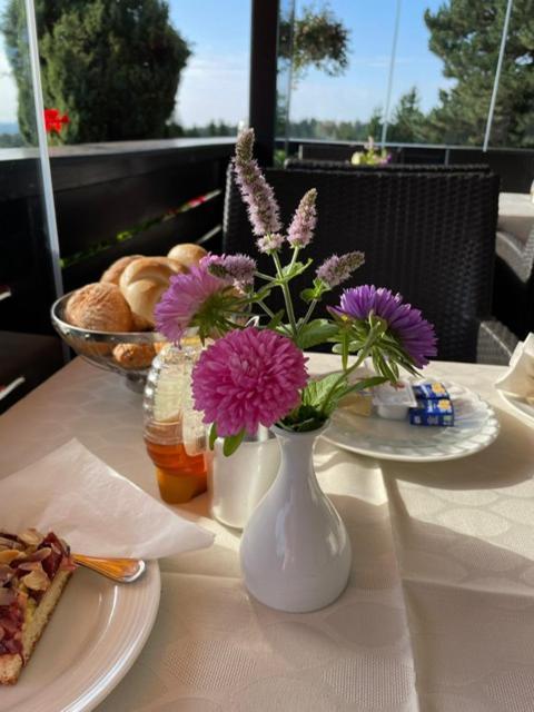 赛锐膳食公寓酒店 Sankt Radegund bei Graz 外观 照片
